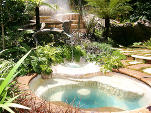 The Chelsea Flower Show 