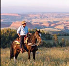 wyoming 