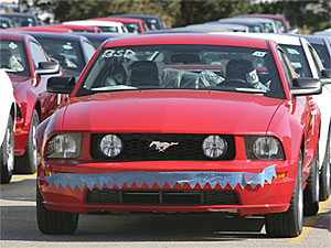 New Mustangs awaiting new owners. 