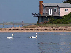 Swan-y water: A beachside house on Cape Cod. 