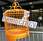 Democracy sign in birdcage 