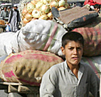 Boy working in Kabul market 