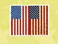 The Intellectuals and the Flag