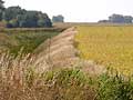 Crops are planted close to this ditch