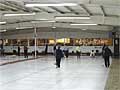 Members of the FM Curling Club