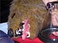Dummy Dog used in BART training