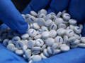 Handful of pills