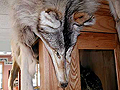 Larger view