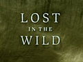 Lost in the Wild