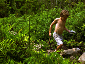 Woodlands