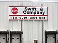 Swift plant