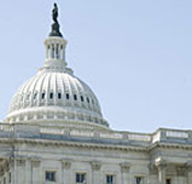 U.S. Capitol Building 
