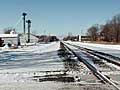 Tracks through Big Lake