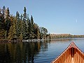 Larger view