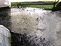 Wastewater leaves the New Ulm plant
