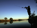 Angler at play