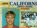 Identity Theft