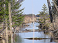 Drainage ditch