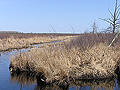 Worries over wetland?