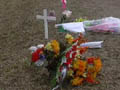 Larger view