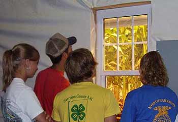 Teens look at corn grown in cave by Controlled ... 