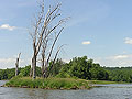 Larger view