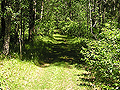 Larger view