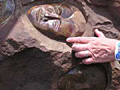 Larger view