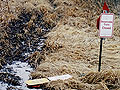 Illegal ATV trail