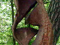 Larger view