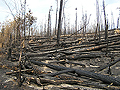 Larger view