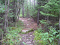 Larger view