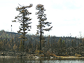 Larger view