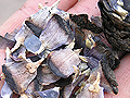 Larger view