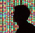 A visitor views a digital representation of ... 