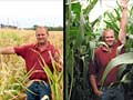The difference irrigation makes