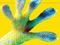 The Gecko's Foot
