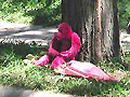 Larger view