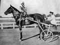 Dan Patch and driver