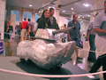 It's a shoe...It's a tank...It's art!