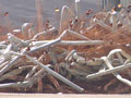 Larger view
