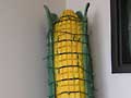 Big cornstalk