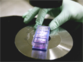 Stem cell cultures