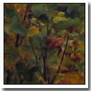 Larger view