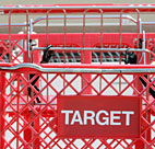 Target shopping cart 