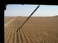 View from the combine