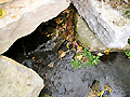 Larger view