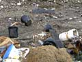 Debris