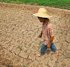 A farmer walks on a cracked field at Sanjiao ... 
