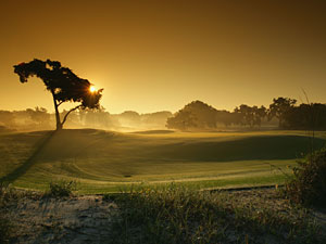 St. Simons Island, Ga. 